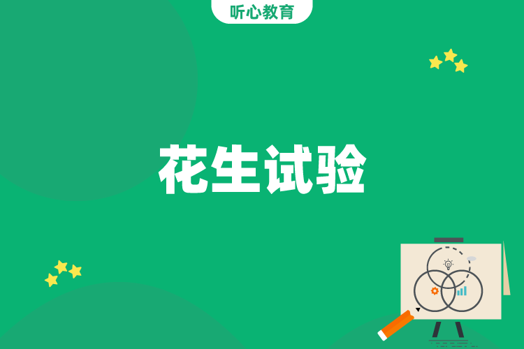 花生试验